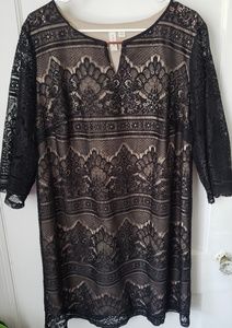 Tacera Black Lace Dress (2X)